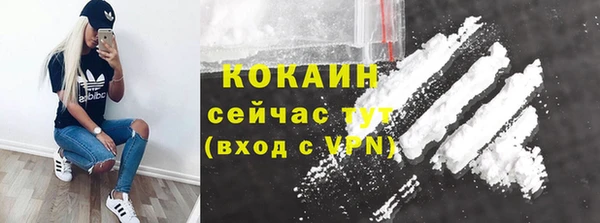 ECSTASY Магас