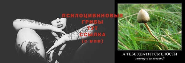 трава Бронницы