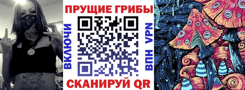 Псилоцибиновые грибы прущие грибы  OMG ссылки  Новотроицк 