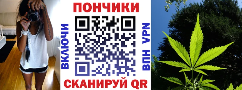 купить наркотик  Новотроицк  Бошки Шишки план 